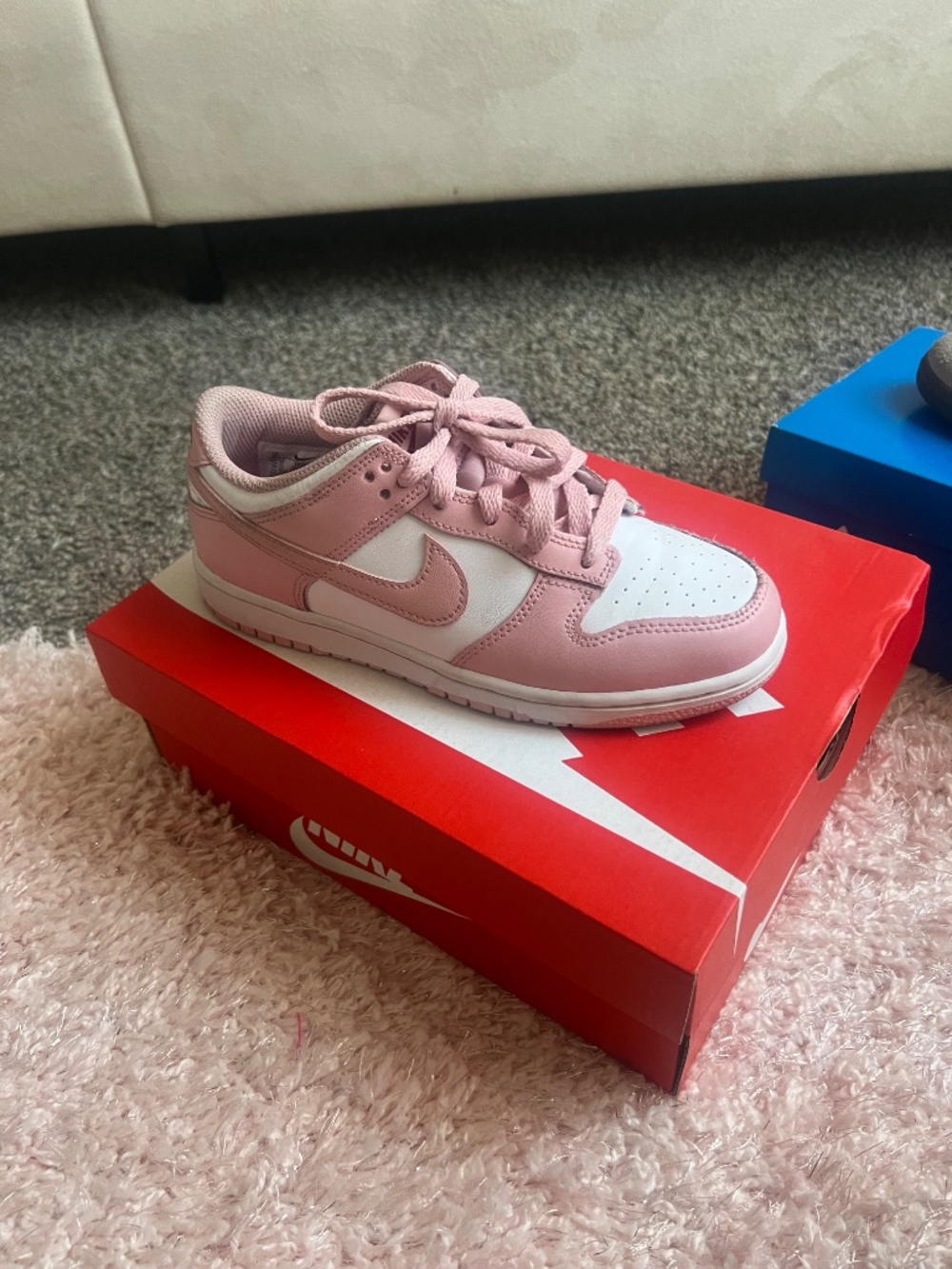 Nike Dunks - Picture 3 of 4